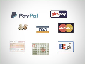 Logos : PayPal, giropay, Visa, Mastercard, virement bancaire, paiement par versements, EC