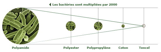 Croissance bactérienne avec le lyocell