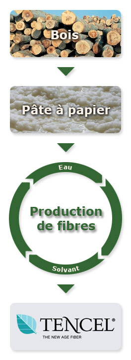 Graphique : production de lyocell / tencel