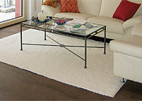 Tapis pour le salon