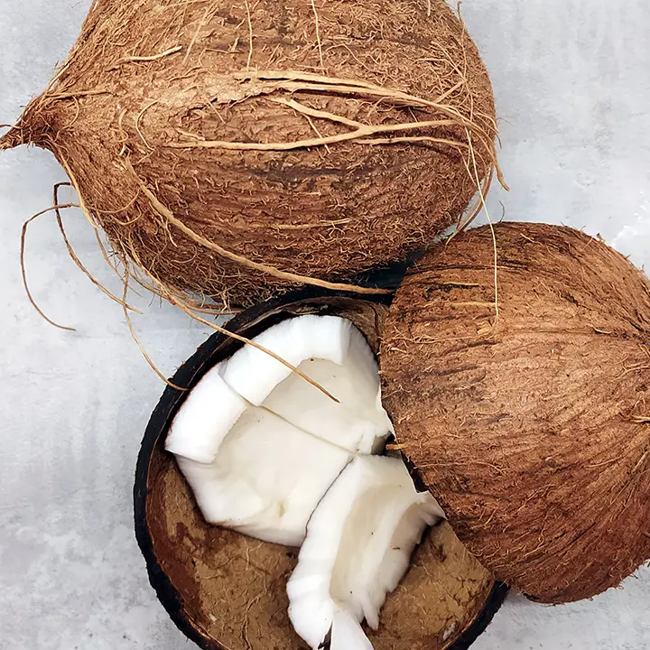 Fibres de coco