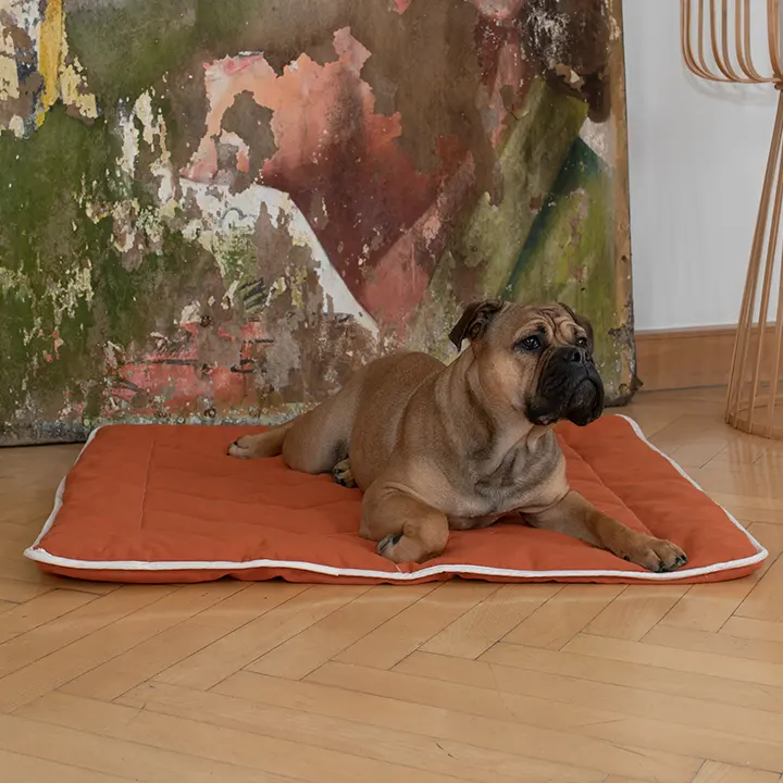 Couvertures pour chiens et tapis pour chiens