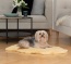 La dimension 90-100 cm est idéale pour les chats et les petits chiens La dimension 90-100 cm est idéale pour les chats et les petits chiens