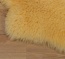 Peau en forme d'animal Peau en forme d'animal