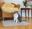 La dimension 80x60 cm convient à merveille en tant qu'ilot de repos confortable pour chat
