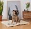 La dimension 100x80 cm convient idéalement pour les chiens de moyenne taille La dimension 100x80 cm convient idéalement pour les chiens de moyenne taille