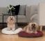Les petites races de chiens comme les yorkshire-terriers, pékinois ou chihuahua se sentent comme sur un nuage sur ce coussin douillet rond de diamètre 60 cm Les petites races de chiens comme les yorkshire-terriers, pékinois ou chihuahua se sentent comme sur un nuage sur ce coussin douillet rond de diamètre 60 cm