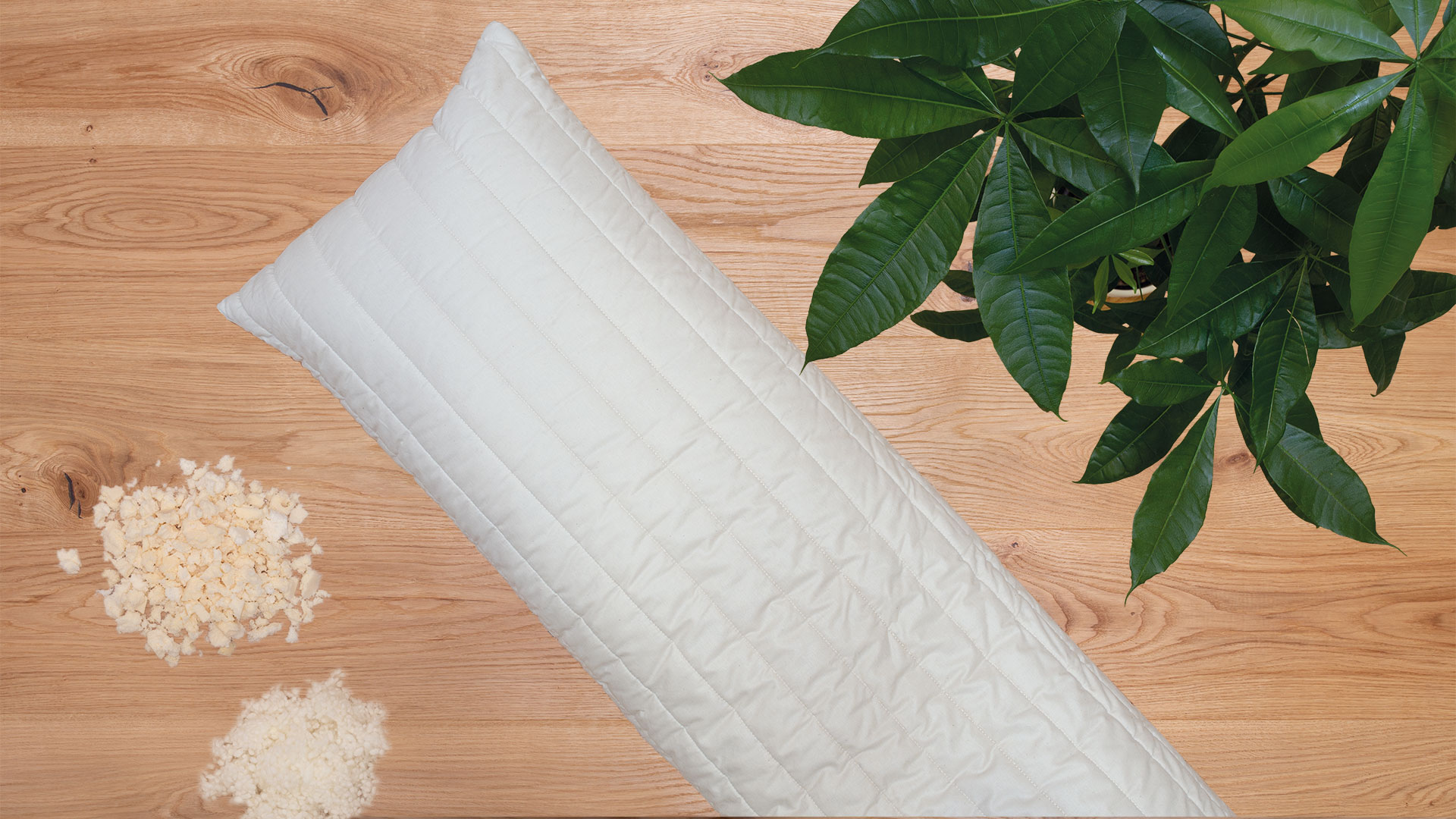 Coussin Dormir Sur Le Ventre décès préférer Généraliser coussin pour dormir sur le ventre arc en