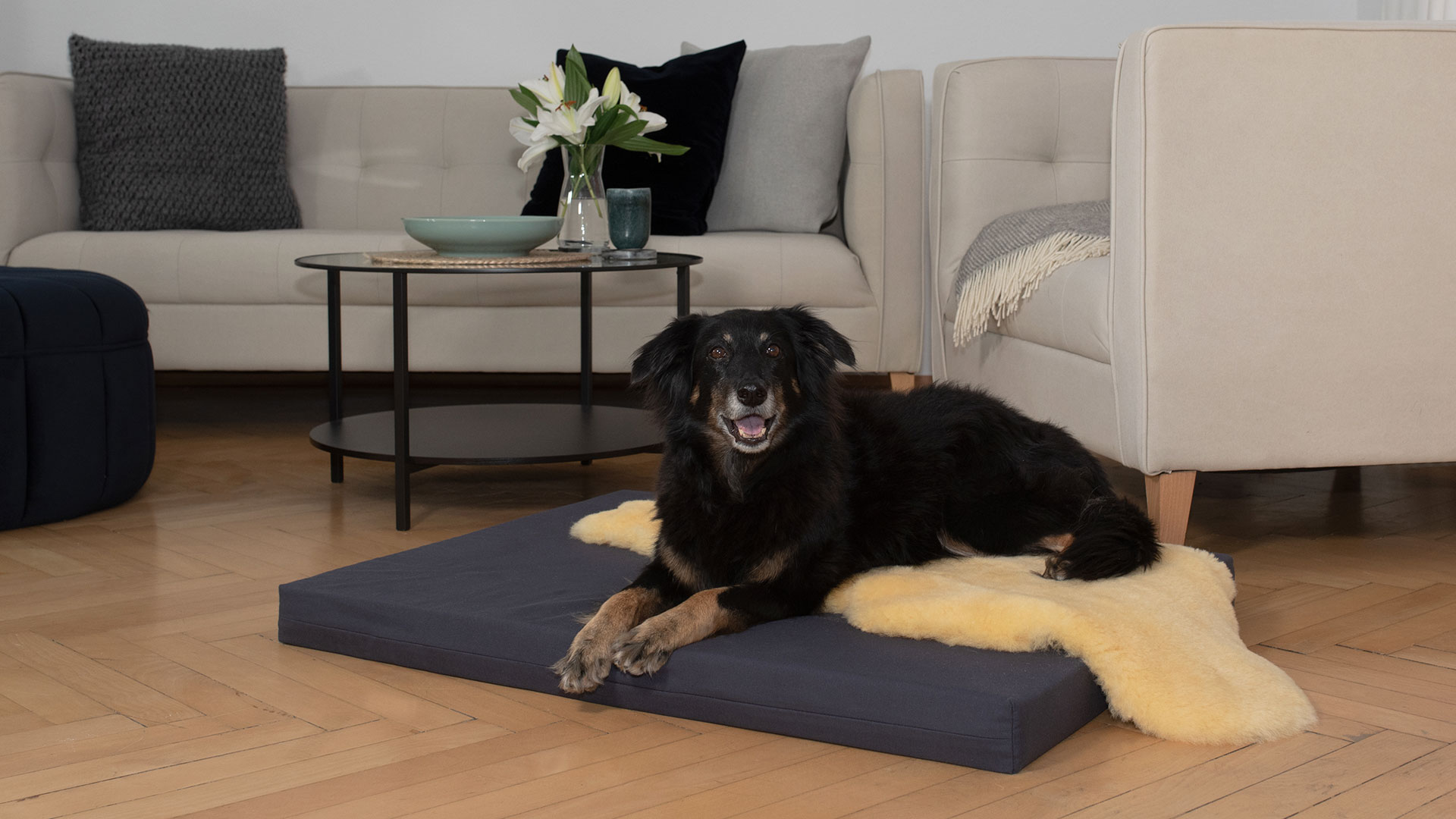 Housse de matelas déhoussable « Matela » pour chiens