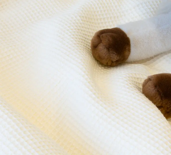 Linge de lit en coton 100 % bio pour enfants
