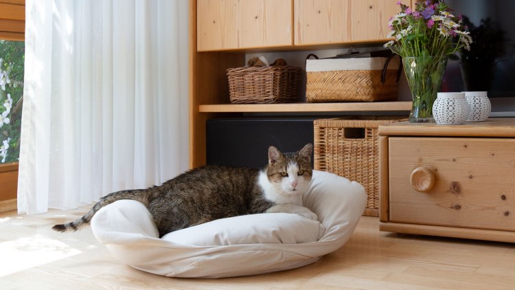 Panier pour chat confortable et moelleux pour un sommeil sain.